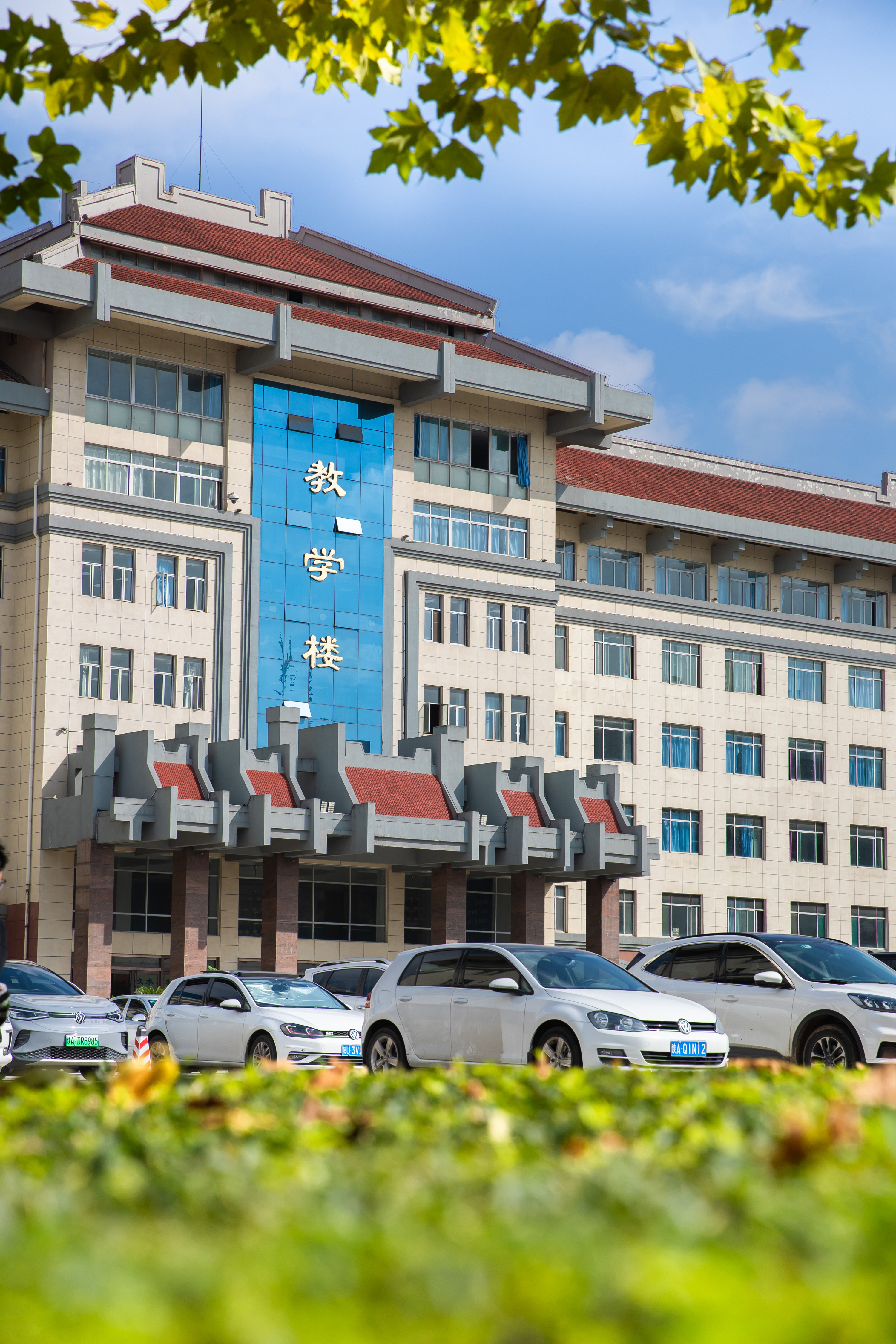 思源图库支持动画切换排序点击放大切换下一张 思源图库支持动画切换排序点击放大切换下一张