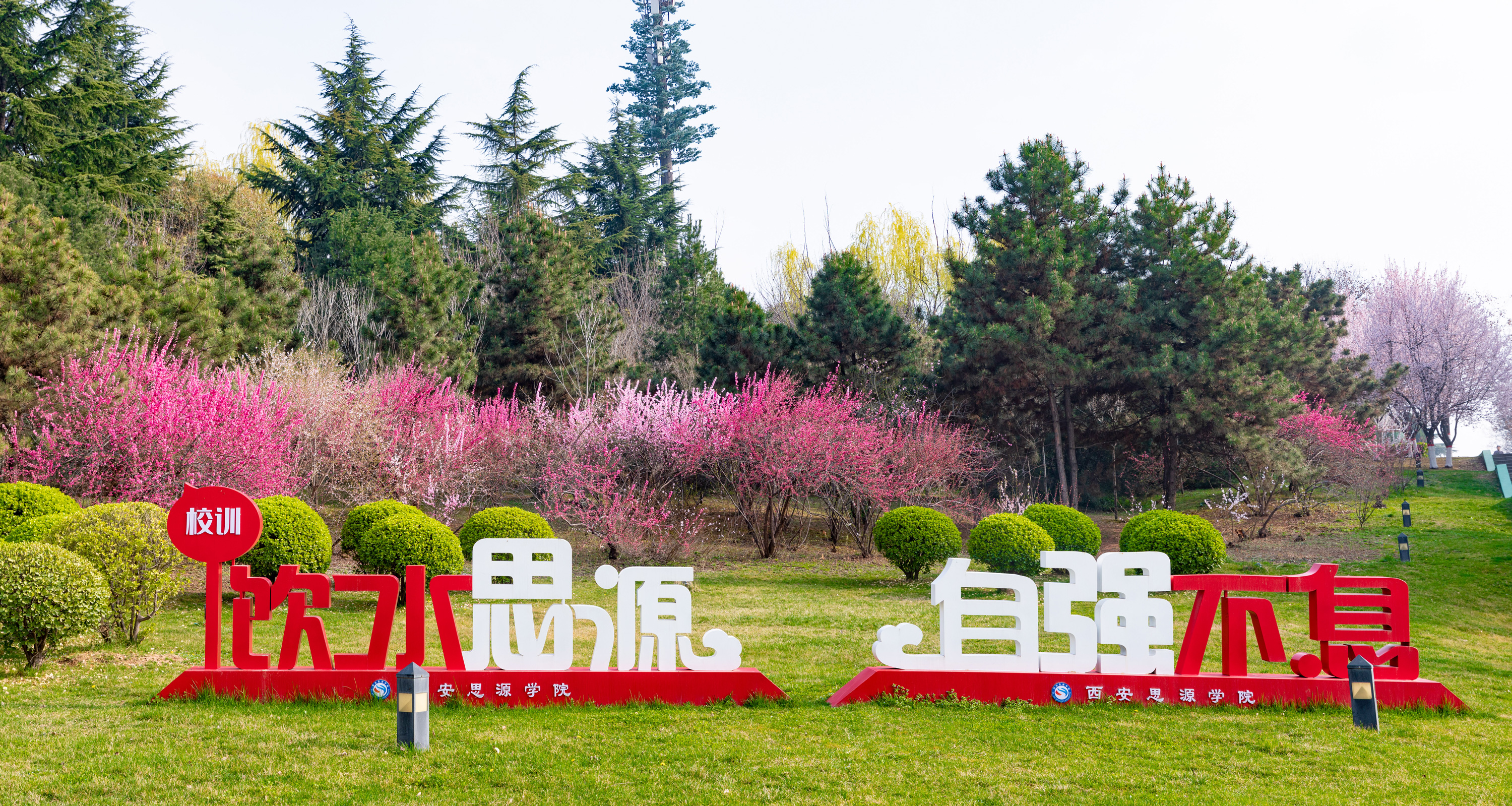 思源图库支持动画切换排序点击放大切换下一张 思源图库支持动画切换排序点击放大切换下一张