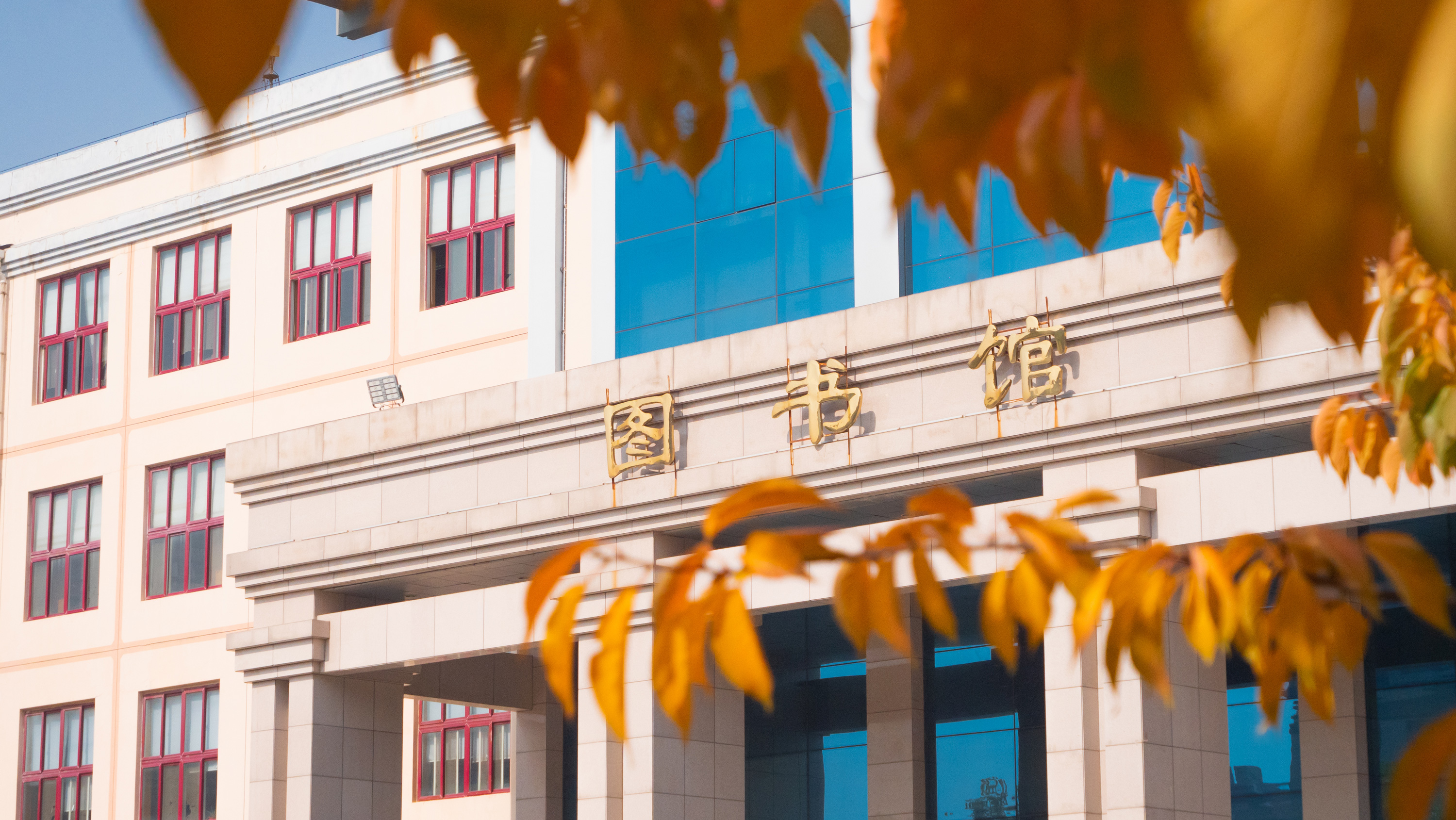 思源图库支持动画切换排序点击放大切换下一张 思源图库支持动画切换排序点击放大切换下一张
