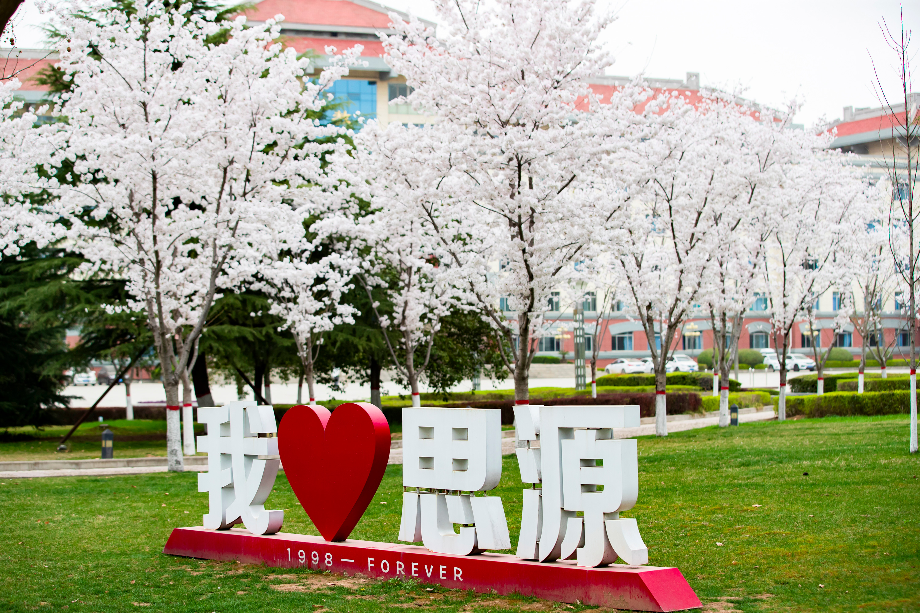 思源图库支持动画切换排序点击放大切换下一张 思源图库支持动画切换排序点击放大切换下一张