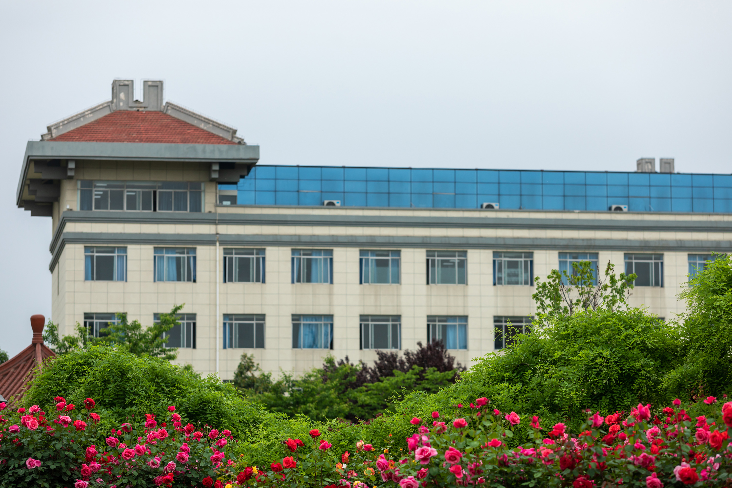 思源图库支持动画切换排序点击放大切换下一张 思源图库支持动画切换排序点击放大切换下一张