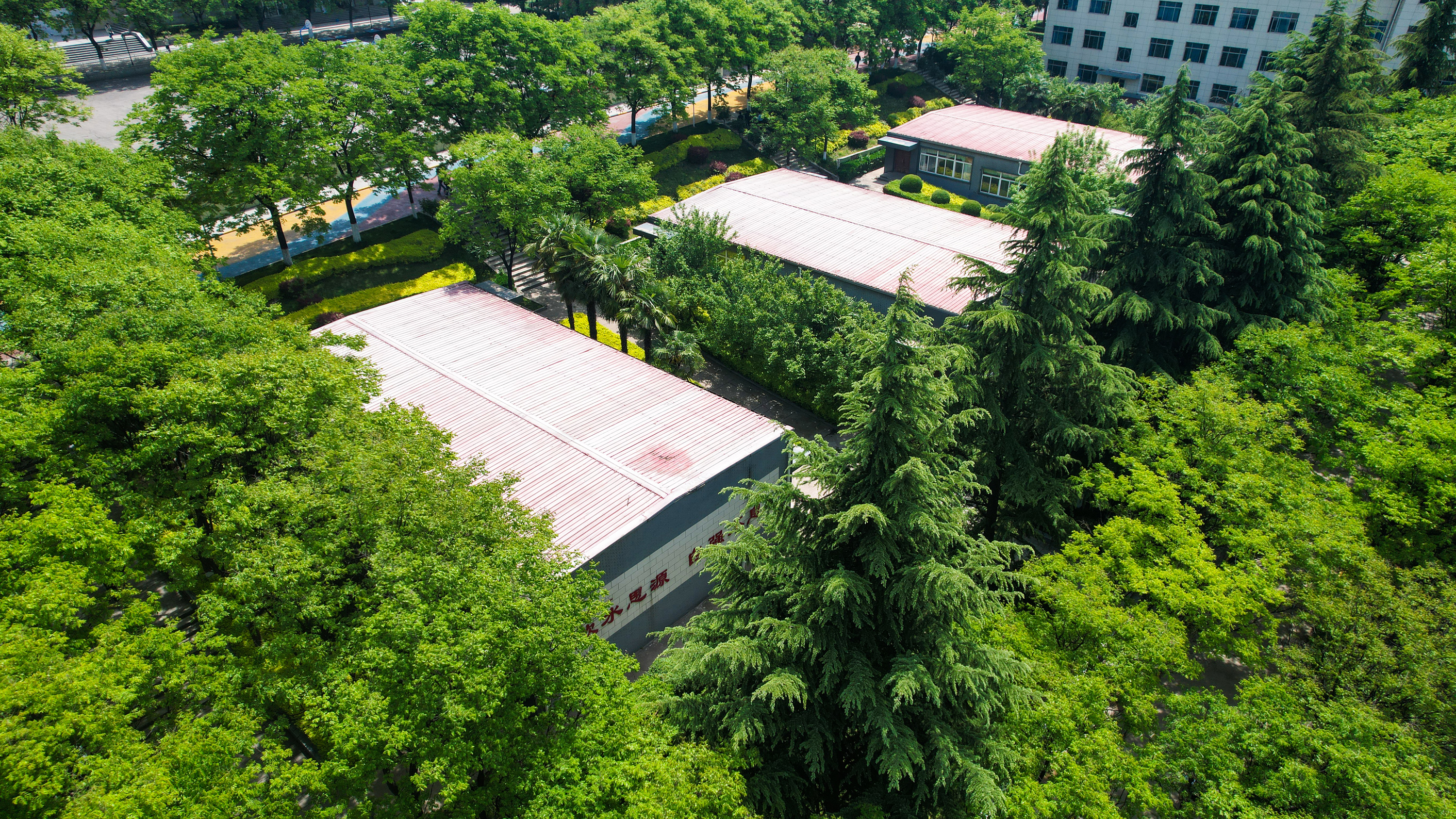 思源图库支持动画切换排序点击放大切换下一张 思源图库支持动画切换排序点击放大切换下一张