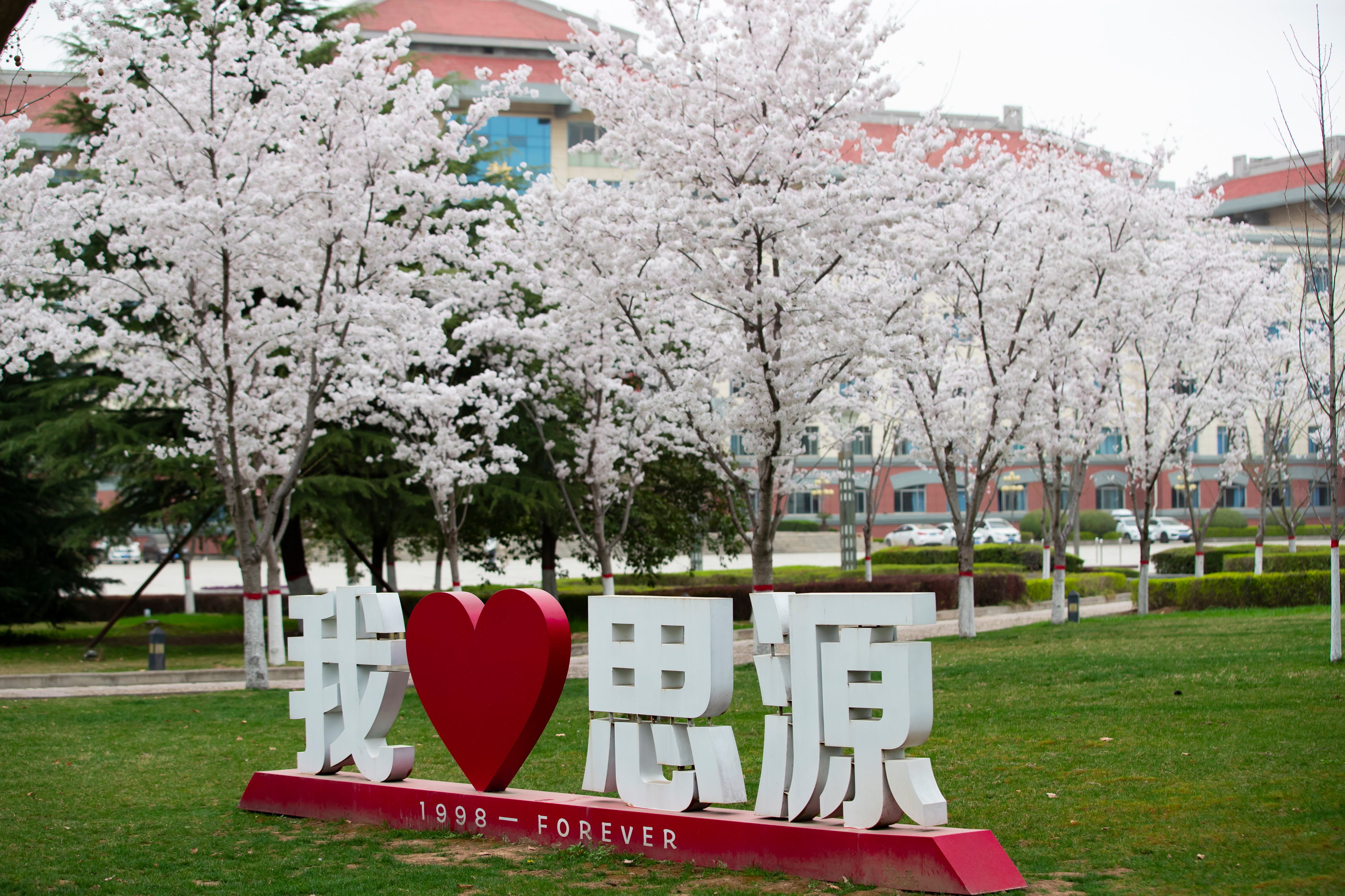 思源图库支持动画切换排序点击放大切换下一张 思源图库支持动画切换排序点击放大切换下一张